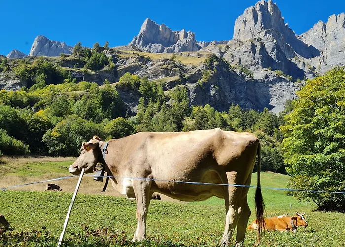 Apartment Once Upon A Time